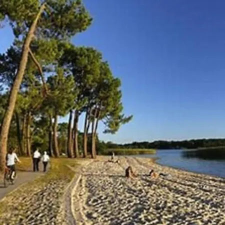 Les Oliviers 別荘 サンギネ